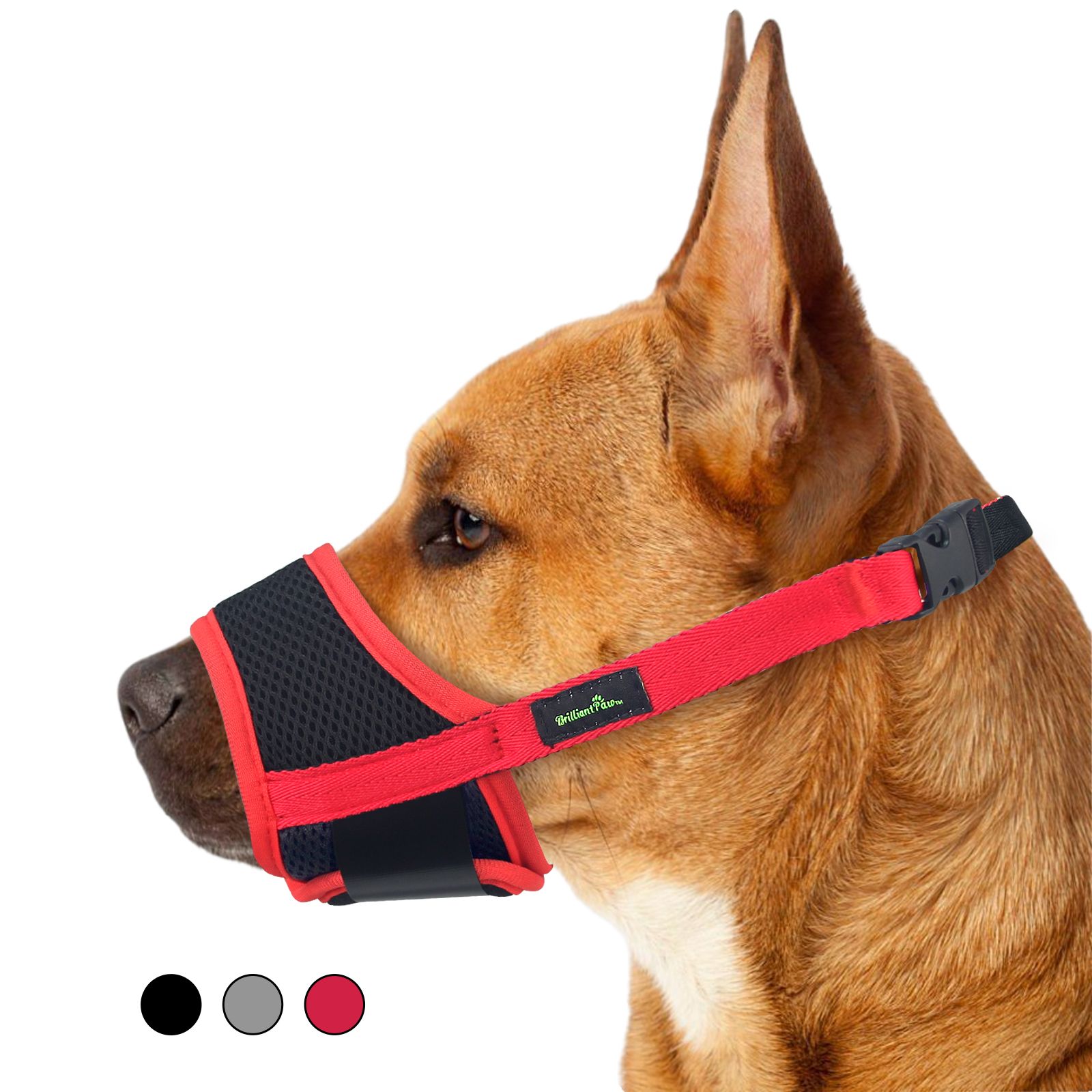 在庫の卸売り犬用マズル。