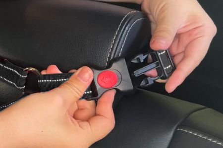 차량용 2-in-1 디자인 개 목줄의 다재다능함