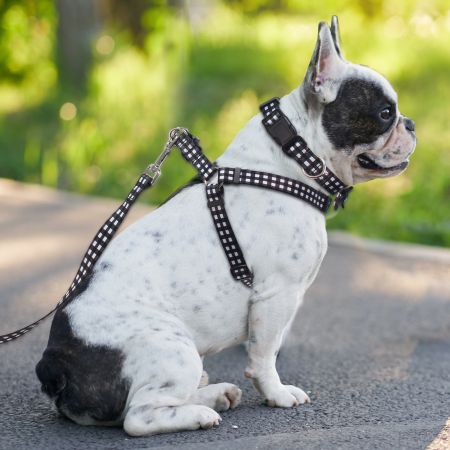 Ensemble de promenade pour chien de 3 pièces en stock - Ensemble de marche pour chien en gros de 3 pièces en stock