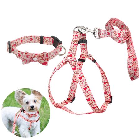 Heart Pattern Dog Harness In Bulk.
