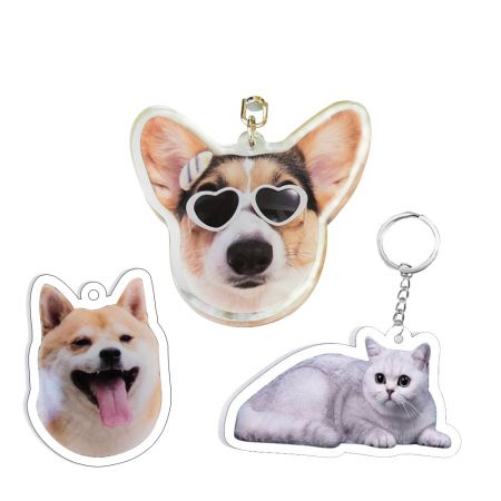 Etiqueta de nombre para mascotas de acrílico personalizada para perros.