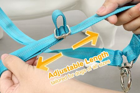Funis Duplex Canis Longitudo Aequabilis pro Ambulatione Personalizata