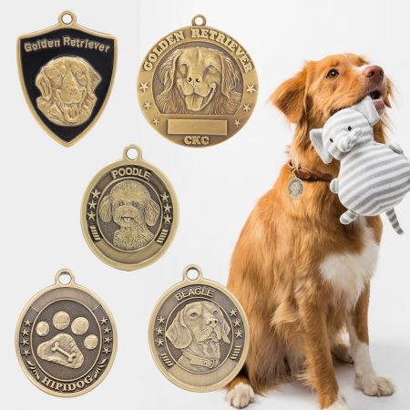 Tags de Cão Personalizadas com Colorido.
