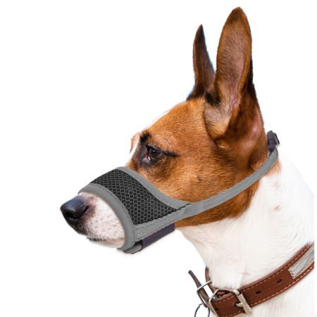 Muzzle de aire de malla transpirable y bebible para perros.