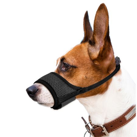 Muzzle para perros pequeños para el cuidado.