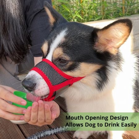 Máscara para perros al por mayor para morder.