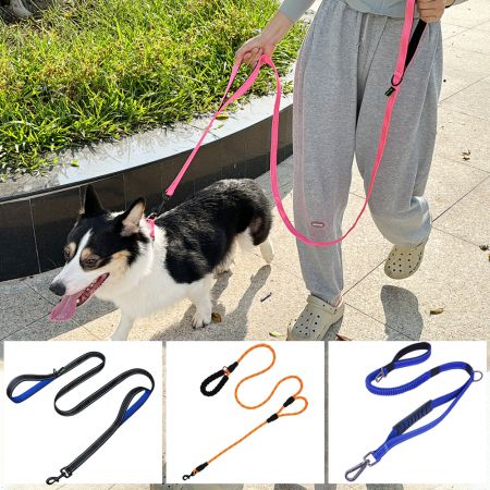 Double Handle Dog Leash Manufacturer.