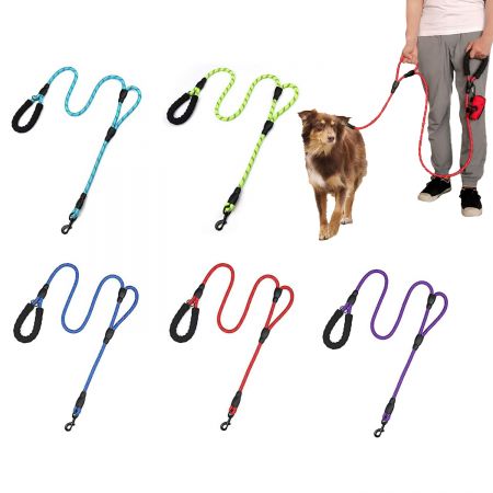 6 Ft Leash With Traffic Handle.