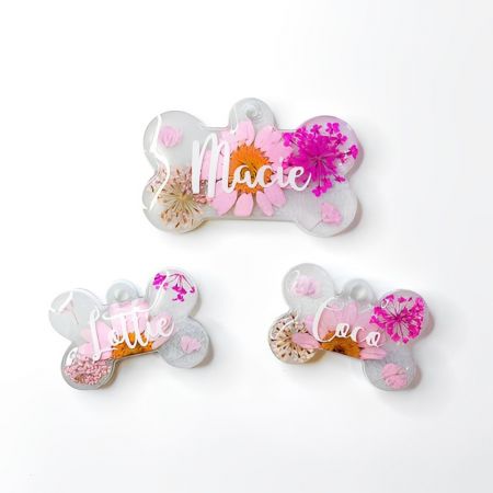 Tag canis personalizatus cum scintilla.