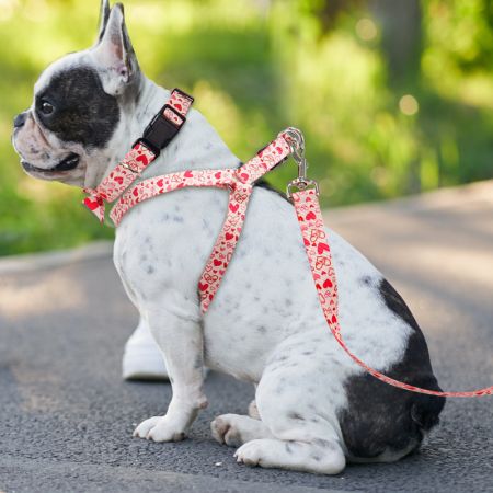 Wholesale Nylon Dog Harness Set .