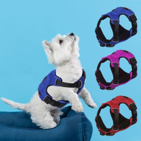Entkommen-verhindern Geschirr für kleine Hunde.