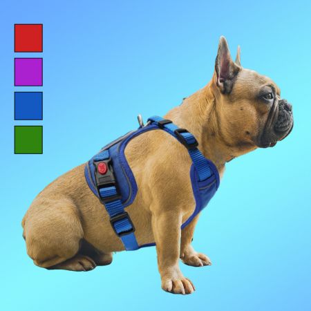 Das beste Entkommen-verhindern Geschirr für Hunde.