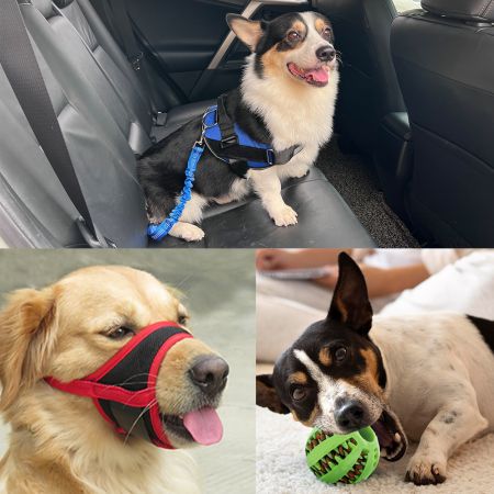 Pet Accessories (stock items) - Wholesale Dog Toy/ Dog Seat Belt/ Dog Muzzle Accessories.