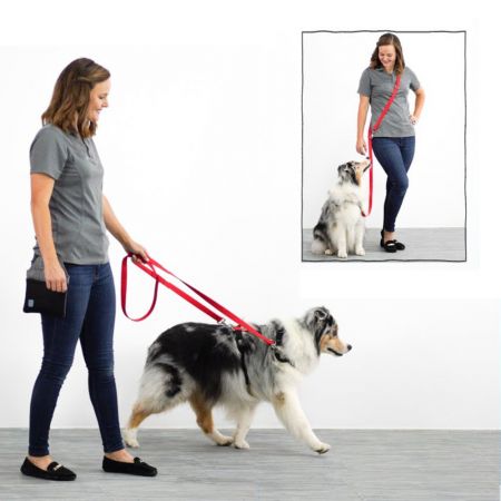 Bán buôn dây dắt chó đa chức năng màu cam.