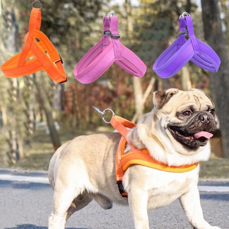 Harnais de chien rembourré avec poignée.