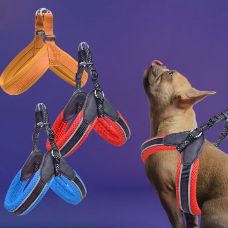 Harnais de chien rembourré en maille bleu royal.