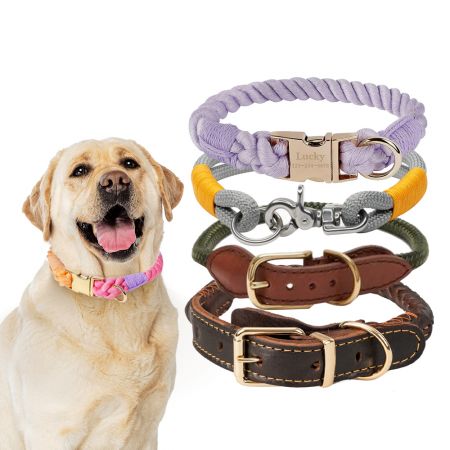 Collare per cani in corda all'ingrosso - Collare per cani in corda intrecciata all'ingrosso