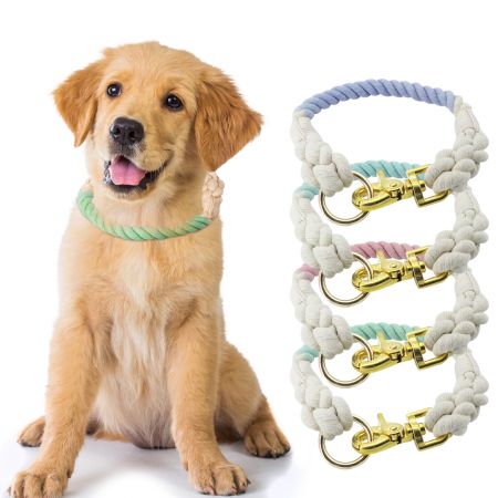 Collare canis funis multicolor.