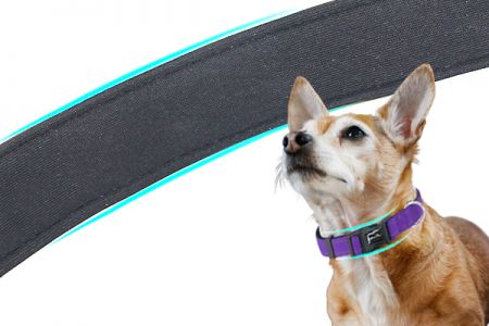 Comfy Fit: Reflective Nylon Dog Collar with Curved Buckle