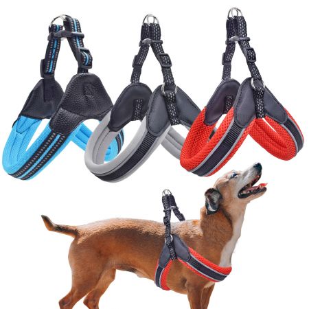 Consuetudo Nylon Gradus In Canis Lorum.