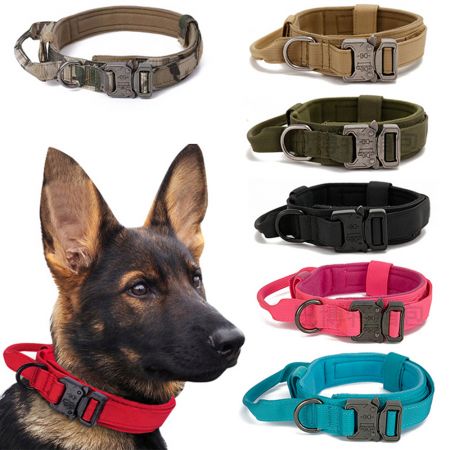 Collier de chien militaire en gros.