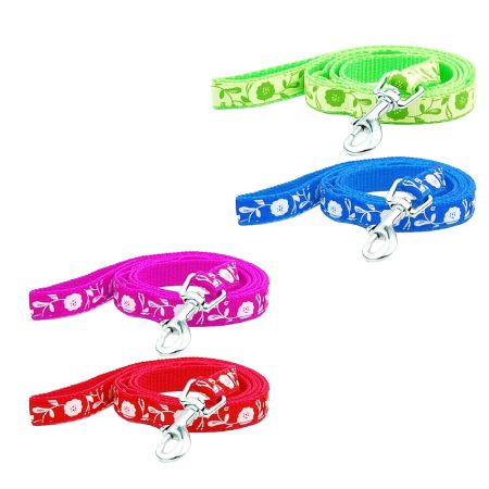 Laisse pour chat en sangle multicolore.