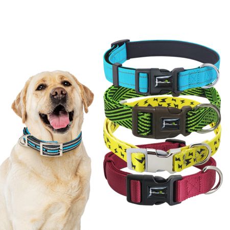 Collare per cani in nylon all'ingrosso - Collari per cani in nylon all'ingrosso