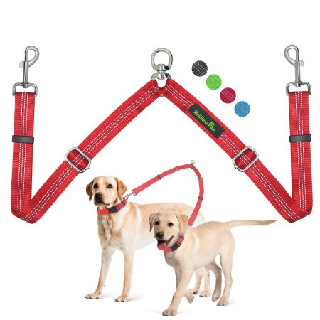 Laisse double pour chiens moyens et grands en stock - Laisse double pour gros chien, résistante