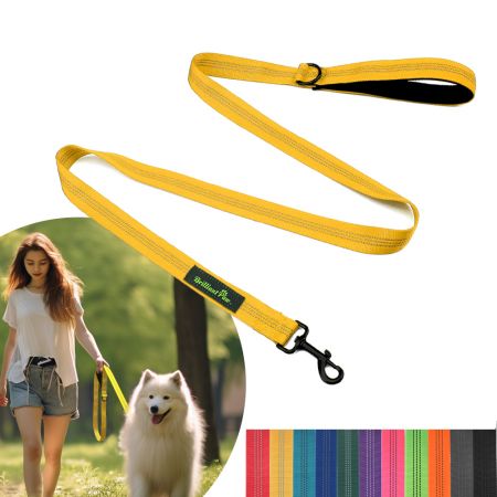 Laisse en nylon pour chien 5 pieds en stock - Laisse en nylon en gros pour chien