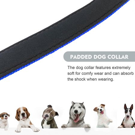 Bulk Reflective Dog Collars Sale.