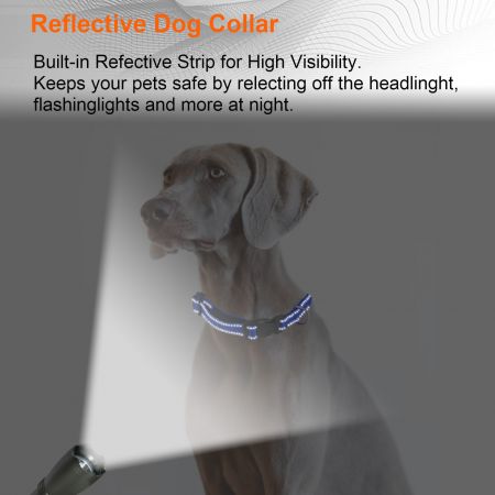 Wholesale Dog Collar Supplies.