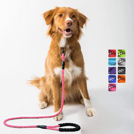 Laisse robuste pour chien avec une poignée rembourrée confortable - Laisse pour chien robuste avec poignée rembourrée antidérapante