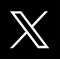 x icon
