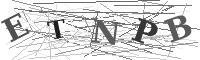 Please refresh your browser to see this image.